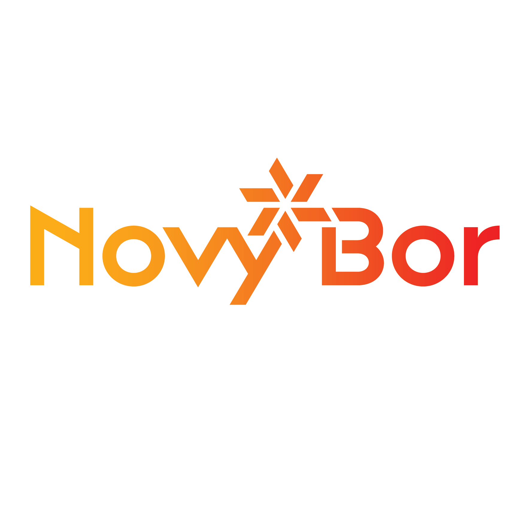 Novy%cc%81 bor