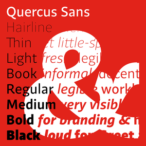 Quercus Sans