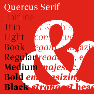 Quercus Serif