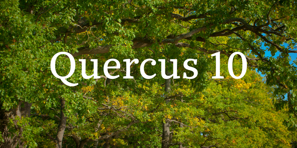 Cascade quercus poster 202224